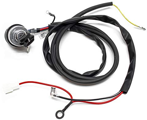 LIFAN Ersatzteil für Benzinmotor Stromerzeuger mit Zündschalter inkl. Schlüssel, Schlüsselschalter Benzin Motor, Go Kart Motor E10 kompatibel