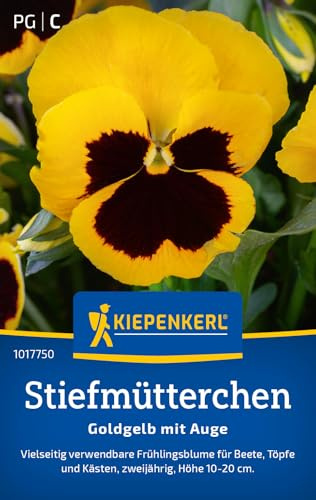 Kiepenkerl Stiefmütterchensamen Goldgelb mit Auge 1017750 - Robuste, winterharte Blumensamen für bezaubernde Beete - Blumensamen, Blumenwiese, Saatgut