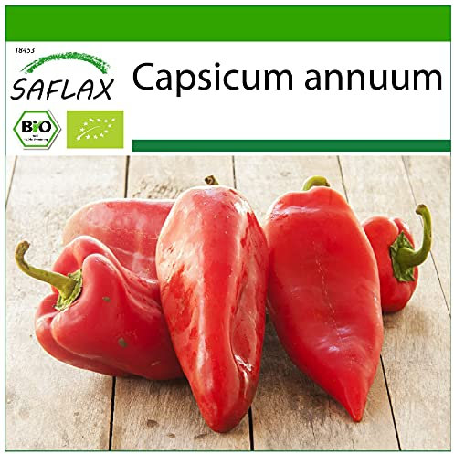 SAFLAX - BIO - Peperone - Long Red Marconi - 20 semi - Capsicum annuum