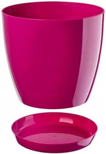 B2C Plant Pot Flower 20 Colours 9 sizes Gloss Plastic Plant Pots Planter Saucer Tray Deco (16 cm/ 6.3 inch, Fuchsia)