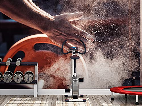 Oedim Fotomural Vinilo Pared Deportivo Barato Hall Gym | Fotomurales Pared | Fotomural Decorativo | Mural | Vinilo Decorativo | Varias Medidas 200 x 150 cm | Decoración Gimnasios | Deportes Varios