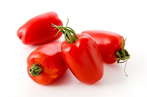 BIO Saatgut Tomate San Marzano 2 | 50 X Samen aus biologischem Anbau mit hoher Keimrate