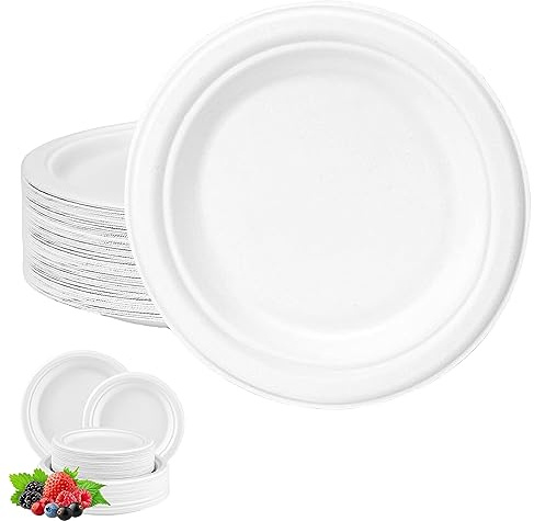 YAAVAAW Pappteller Einweg 100 Stück 23m Pappschalen,Weiß Runde Einweggeschirr,Zuckerrohr Geschirr Biologisch Einwegteller Pappteller für Party,Kindgeburtstage,Grillabende,Hochzeiten,Picknicks
