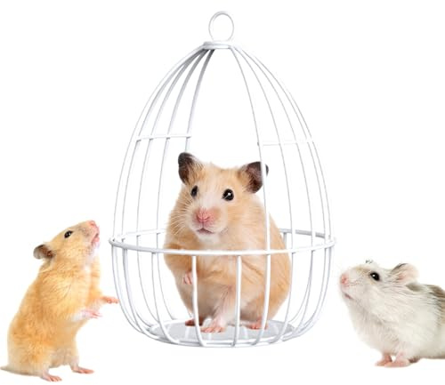 Hamster Hamac pour Hamster Nain Fer