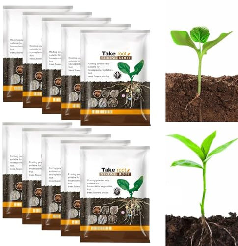 Hormone de Bouturage,300g Poudre D'enracinement pour Boutures,Poudre D'enracinement Succulente,Tonifie et Renforce la Croissance des Plantes et des Racines