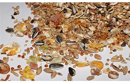 Anhaltiner Mäusefutter 10 kg Premiumfutter Mischfutter auf die Nahrungsbedürfnisse von Mäusen angepasst