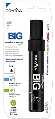 Pryma Marcatore Permanente Nero – Inchiostro Indelebile per Carta, Plastica, Metallo e Legno – Pennarello Resistente per Ufficio, Scuola e Magazzino (1, 2-9 mm)