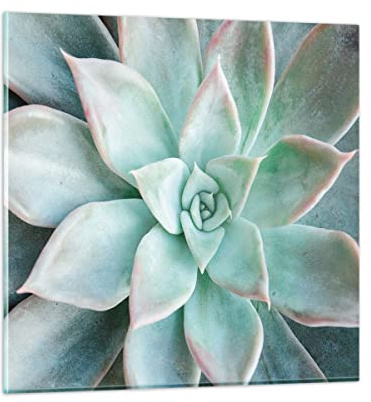 Moderno Quadro in Vetro 60x60 cm Stampe da Parete Botanica Fiori - 4628