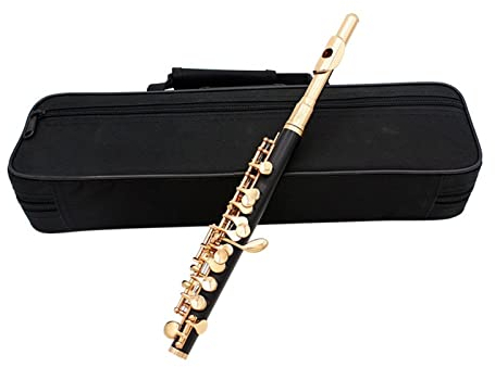 16 Löcher C Tone Piccolo Golden Silber E Kupronickel Body Piccolo Woodwind Instrument Mit Fall Querflöte (Color : Gold)