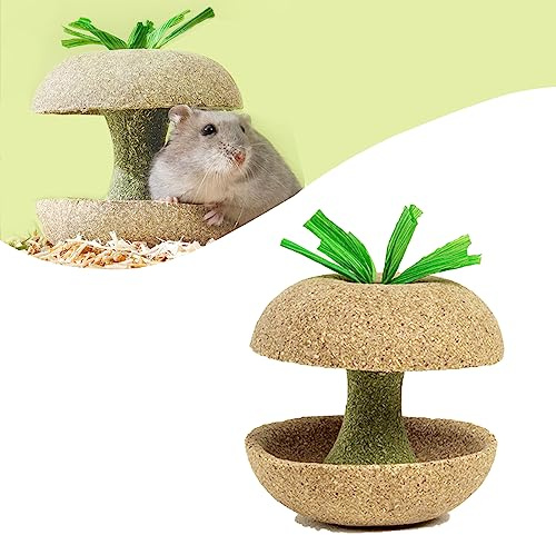 MANON ROSA Natural Hamster Chew Toys for Dental Health - Apple Molar Bowl Timothy Grass Grinding Treats for Rabbits Guinea Pigs Chinchillas and Small Rodents (1-Pack)