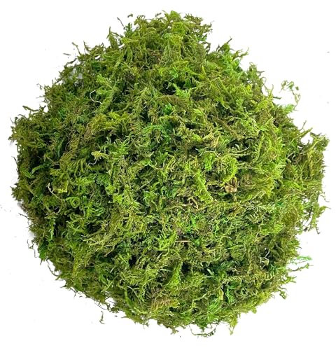 ZYFHYU Artificial Moss for Potted Plant Potting Mix Peat Moss Pole Craft for Lawn(Color 1,20g)