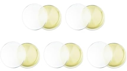 Schimmelerkennungsset, Schimmeltest-Kits für zu Hause, Agar und Kunststoff, Geeignet zur Erhaltung eines gesunden Wohnklimas, Gelb, 5 Stück