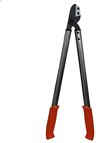 Stocker LOWE2050