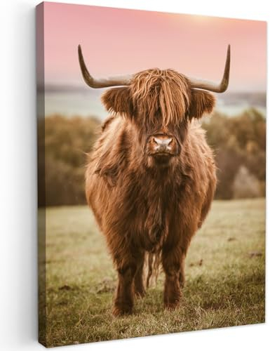 MuchoWow Leinwand Bilder, Einzigartige Wanddeko mit Rahmen, Schottischer Highlander - Kuh - Horizont, Wandbilder Wohnzimmer, Deko Schlafzimmer 60x80 cm