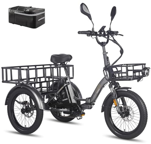 Fafrees F20 Mate E-Bike Dreirad 21Ah/1008Wh Akku COC [ Offiziell ] Ebike Herren 180kg, Elektrofahrrad Damen Hydraulische Scheibenbremsen 65N.m, Electric Bike 3 Räder für Erachsene 20 Zoll