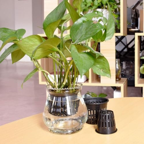 25 copas de red para plantas, perfectas para sistemas aeropónicos y clonación de jardín