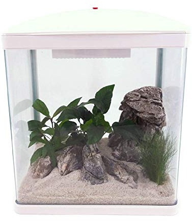 AquaOne Aquarium Komplettset LED mit Pumpe HR-300 weiß I Kleines Nanoaquarium 14 Liter I Mini Nano Becken Set für Fische und Garnelen