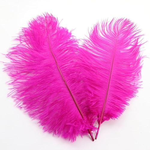 SYSUII 10 Stück Natürliche Straußenfedern 35-40cm Strauß Feder Plume zum Basteln,Bastel Federn Dekofedern DIY Basteln Zubehör für DIY Traumfänger Handwerk Hochzeit Mittelstücke Dekoration -Rose