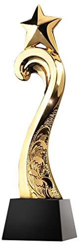 HLUONGTN Trofei Trofeo Campione D'Oro a Cinque Stelle Trofeo Premio per il Miglior Concorrenteo Staff Trofeo Concorso Sportivo Trofeo Coppa, Medaglie Premi Riconoscimento Aziendale/D/8X30Cm