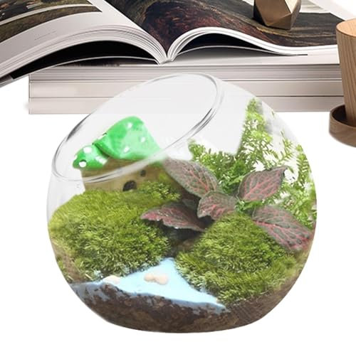 Glas-Pflanzen-Terrarium – Glas-Terrarium-Pflanzenhalter, Glas-Blumentopf-Terrarium-Glas, Heimdekoration, Tafelaufsatz, Terrarium, Glas-Luftpflanzenhalter, Tank für Wohnzimmer, Esstisch, Schlafzimmer