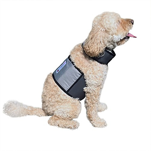 CoolerDog Dog Cooling Vest and Cooling Collar - Ice Vest for Dogs Small (18 to 22 Girth)