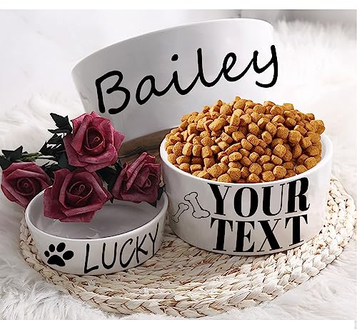 Personalisierter Hundenapf, Haustierbesitzer, Geschenke, anpassbarer Haustiername, Name Ihres Haustiers, individuelle Futternäpfe für Hund, Katze, Welpen oder Kätzchen, Schüssel für trockenes