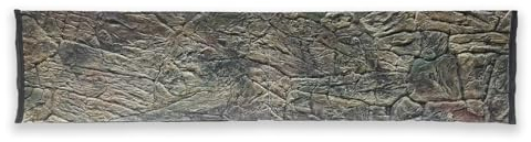 ZooPaul 3D Aquarium Rückwand dünn 200x50 Aquarienhintergrund Hintergrund Terrarium Dekoration