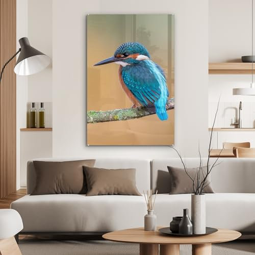 MuchoWow Glasbild Glasfoto Wandbild Bilder Deko 60x90 cm Vogel - Eisvogel - Tiere - Zweig