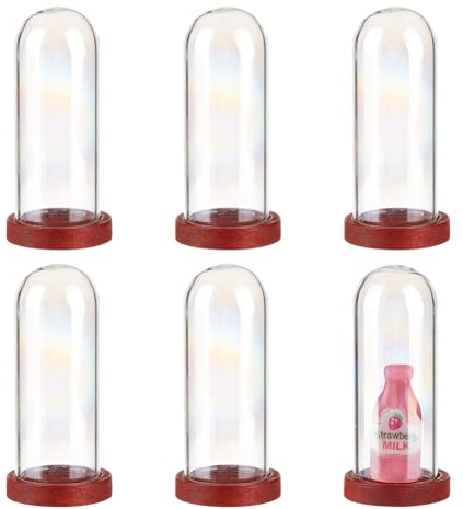 DELORIGIN 6Pcs Clear Glass Dome With Wooden Base Mini Glass Bell Jar Hollow Glass Vial Stand for Artificial Flower Jewelry Gemstones Display Stand DIY Projects Wedding Party Keepsakes