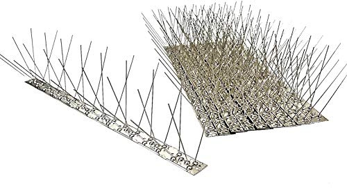 10 Stück (5 m) Taubenspikes 4 reihig auf 50 cm Edelstahlleiste, Taubenabwehr, Vogelabwehr - DIREKT VOM Hersteller