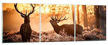 Mehrteilige Bilder auf Glas Deer Heidekraut Tier Glasbild 90x30cm Wandbilder Dekoration Wohnzimmer Schlafzimmer Küche Set 3 teilige Klein Wanddeko Bild im Glas Wand Kunstdruck Art Modern GCA90x30-3043