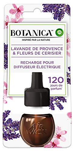 Air Wick Botanica Lufterfrischer für Zuhause