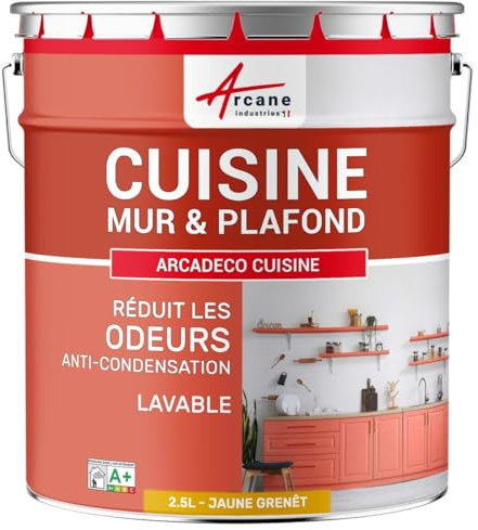 ARCANE INDUSTRIES Vernice per Cucina Lavabile, Muro e soffitto: ARCADECO - 1216-2,5 L Giallo Scopa - RAL 1032