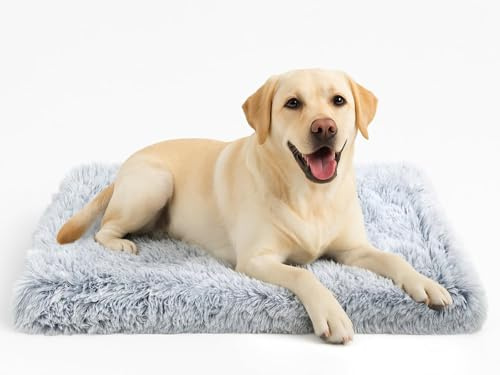 DONWEI Hundebett Flauschig Orthopädische Matte 75X50Cm Hellgrau Mittelhunde