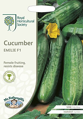 Mr Fothergills - Vegetable - RHS Cucumber Emilie F1-10 Seeds