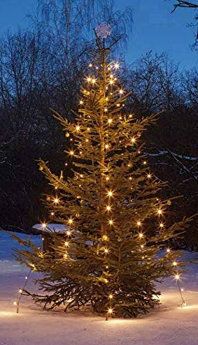 hellum Christbaumbeleuchtung für außen, 220 LEDs warmweiß, 10 Stränge mit Fixierung, Höhe 180cm, Weihnachtsbaum Lichterkette mit grünem Kabel, Zuleitung 5m, <59lm 577907