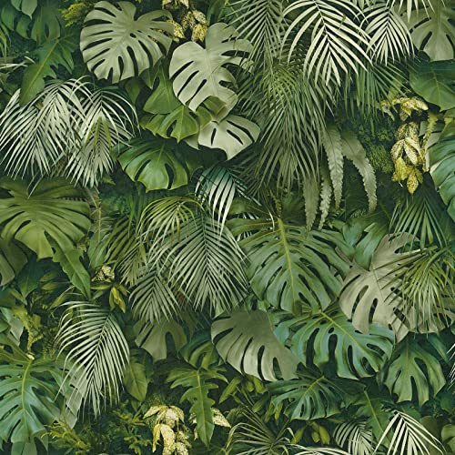 BRICOFLOR Dschungel Tapete | Papier peint salon tropical vert | Tapisserie exotique verte idéale chambre adulte | Papier peint feuille exotique pour couloir