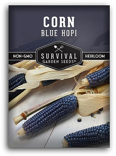 Blue Hopi Corn Seeds for Planting - Plant & Grow Heritage Blue Maize in Your Home Vegetable Garden - Non-GMO Heirloom Variety - Survival Garden Seeds (1 Pack)