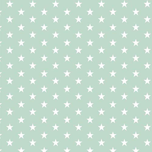 babrause® Baumwollstoff Sternchen Mint Webware Meterware Popeline OEKOTEX 150cm breit - Ab 0,5 Meter