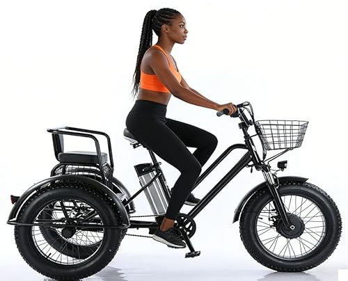 WEIMILOR Tricycle électrique pour Adultes, 48 ​​V 15 Ah, pneus Larges 20 x 4, Pliable, autonomie de 90 km, Vitesse de 20 km/h, paniers Avant et arrière 2batteries
