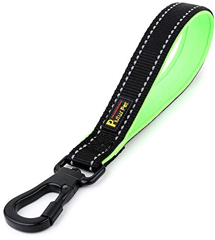 Plutus Pet Short Dog Lead with Padded Handle for Medium Large Dogs | Reflective, Heavy Duty Strong Nylon, Traffic Leash with Carabiner Clip for Training Walking (25cm, Black)