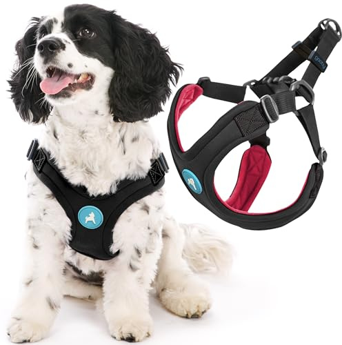 Gooby Escape Free Sport Dog Harness, Choke-Free, Black, Large