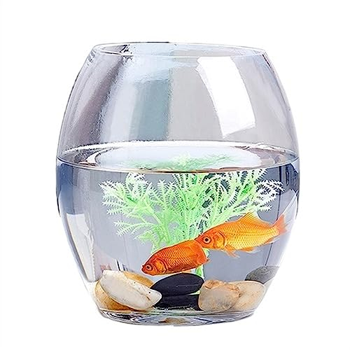 Aquarium Aquarium Kleines verdicktes transparentes Aquarium Glasschildkrötenbecken Ovales Aquarium Home Office Desktop-Tank Mehrzweck Fischtank (Size : L)