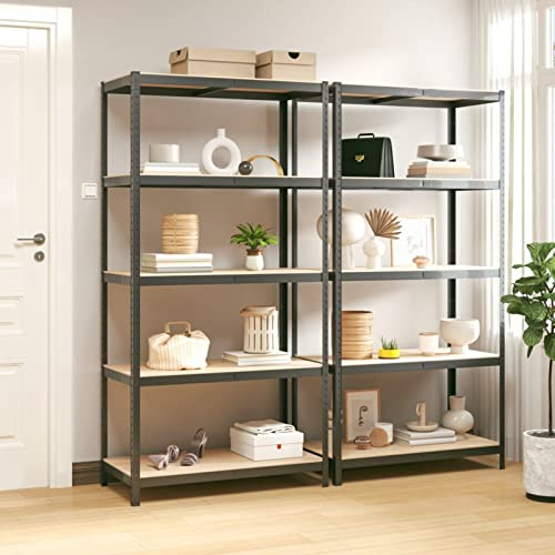 LAPOOH Regale mit 5 Böden 2 STK Wohnzimmer Regal, Keller Regal, Lagerregal, Haushaltsregal, Aufbewahrung Garage, Standregal, Bücherregal, Anthrazit Stahl & Holzwerkstoff