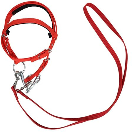 Horse Stopall And Riñones - Bridles Occidentales Para Caballos | Brida De Caballo Ajustable De La Cuerda | Cuerda De Rancho Arnés | Seguridad Riñón Animal Brida Para Conducción Estable | Suministro