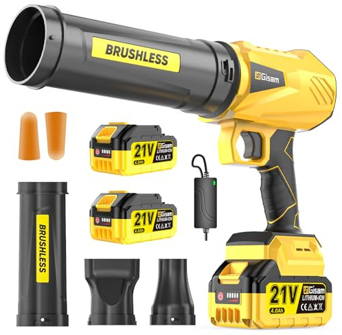 Soffiatore a batteria da 21 V, ventilatore a batteria con 2 batterie da 4000 mAh e caricabatterie, velocità a 3 velocità e 3 ugelli di soffiaggio, 170000 RPM soffiatore con batteria e caricatore