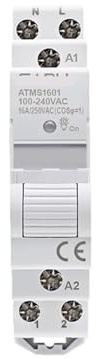 Interruttore relè timer intelligente su guida DIN AC 110V 220V 16A Interruttore automatico Controllo remoto Contatore di energia KWH(1601 No Metering)