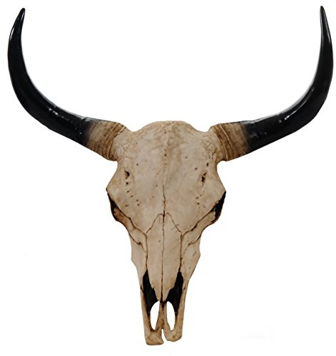 Mendler Cráneo decorativo 64 cm, polirresina, toro, cabeza de cuerno largo, trofeo, para interior y exterior, color natural