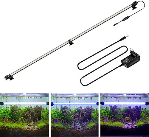 BELLALICHT LED Minuterie Éclairage d'aquarium, Lampe Tube Aquarium [Bleue & Blanc Lumière] avec Gradateur intégré, Dimmable 10 niveaux de luminosité IP67 étanche pour Aquariophilie