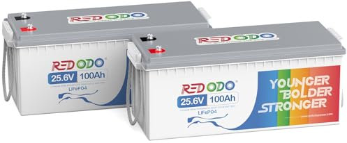 Redodo [2 Pack] 24V 100Ah LiFePO4 Lithium Batterie, Eingebautes 100A BMS, mit Max. 2560W Ladeleistung, 4000+ Zyklen Akku, Perfekt für Wohnmobil, Off-Grid System